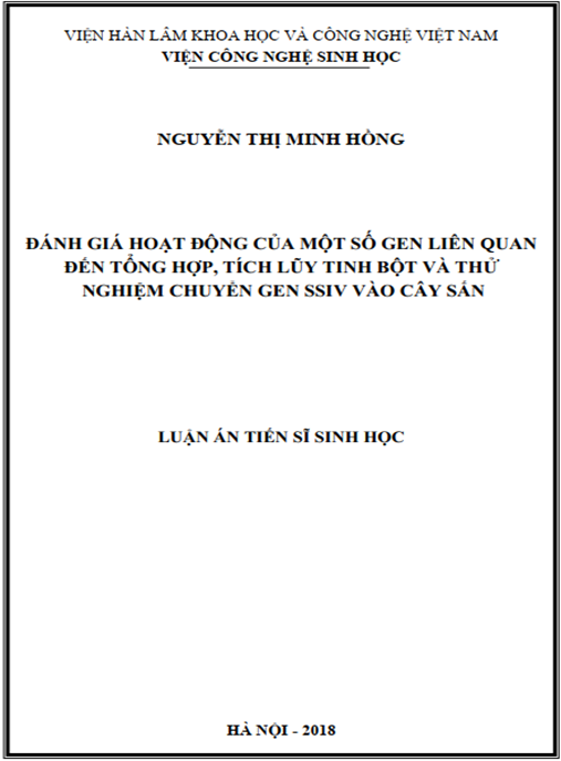 Luận án tiến sĩ Đánh giá hoạt động của một số gen liên quan đến tổng hợp – tích lũy tinh bột và thử nghiệm chuyển gen SSIV vào cây sắn